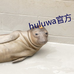 huluwa官方