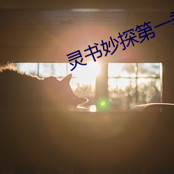 灵书妙探第一季超清下载