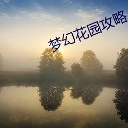 梦幻花园攻略