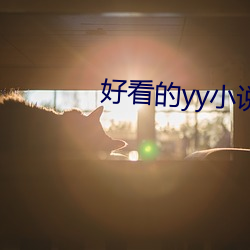 好看的yy小说