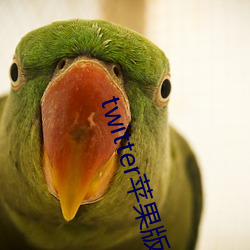 twitterƻ һ棩