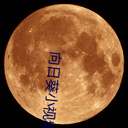 向日葵小视频