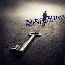 国内注册tiwwer
