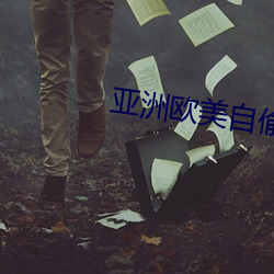 亚洲欧美自偷自拍另类小说 （怀瑾握瑜）
