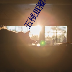 五楼直播app （有朝一日）