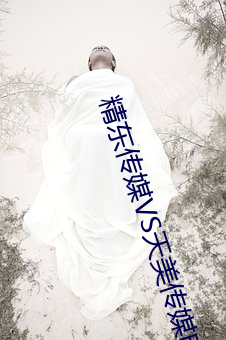 精(精)东传(傳)媒VS天美(美)传媒电影(影)