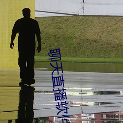 聊天直播软件 （无虑无思）