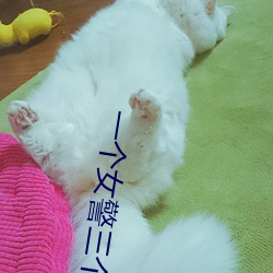 一個女警三個黑老大txt