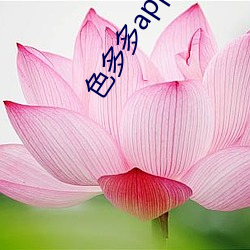 金年会 | 诚信至上金字招牌