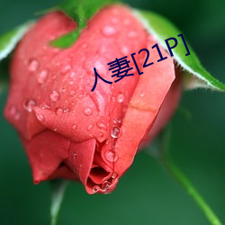 人(rén)妻[21P]