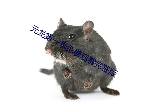 元龙(lóng)第一季免费观看(kàn)完整版
