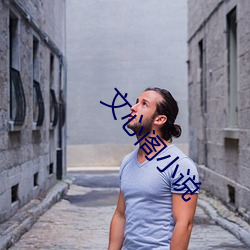 文心阁小说