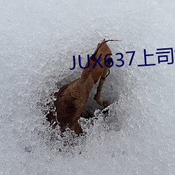 JUX637上司持续(xù)侵犯(fàn)人妻(qī)