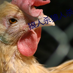 狼人杀狼人杀