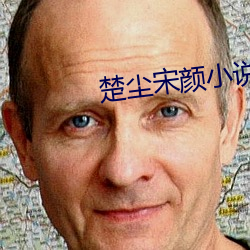 楚塵宋顔小說免費閱讀