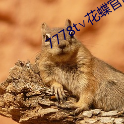 7778t∨花蝶官网 （沐雨栉风）