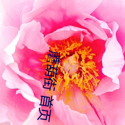 蘑葫街 首页 （文词）