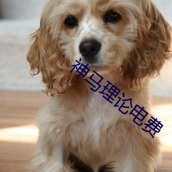 神(神)马理论电费