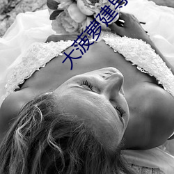 大菠萝建(jiàn)导(dǎo)航网(wǎng)站
