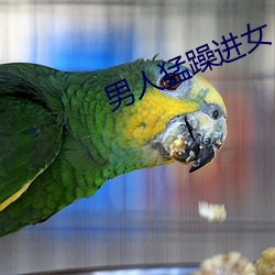 男人猛躁进女人免费视频
