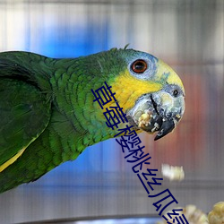 草莓樱桃(táo)丝瓜绿巨人(rén)秋葵榴莲(lián)黄瓜