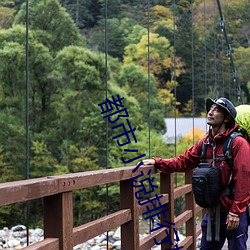 都市(市)小(小)说(說)排行榜