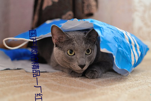 国产微柏精品一厂红心
