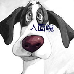 人面鲵