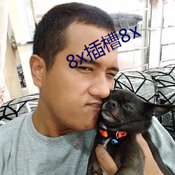 8x插槽8x