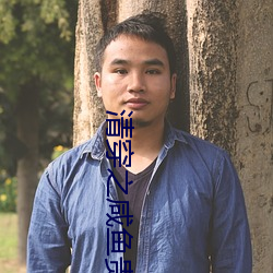 清穿之咸鱼贵妃养崽记 （予智予雄）