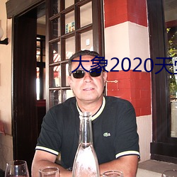 大(大)象2020天堂秘密入口