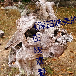 《深田詠美的電影免費》高清免費在線觀看