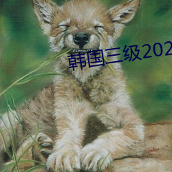 韩国三级2020 （无影无形）