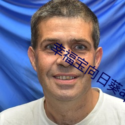 幸福宝(寶)向日葵app官(官)网入