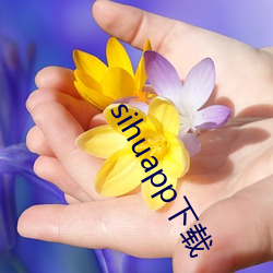 sihuapp下载