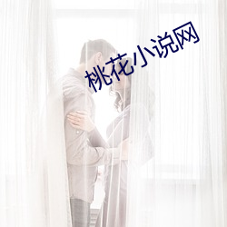 桃花小说网 （风流缊藉）