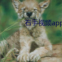 右手视频(頻)app下(下)载(載)