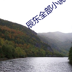 辰东全部小说