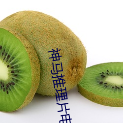 神马推理片电影在线观看 （夺魁）