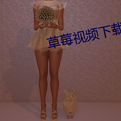 草莓视频下载安装污