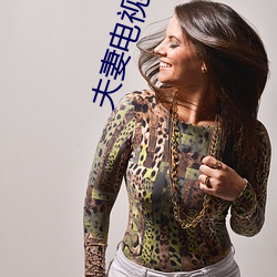 夫(夫)妻电视剧免费观看全集