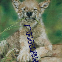 广东阳江海域(yù)149米长货(huò)船