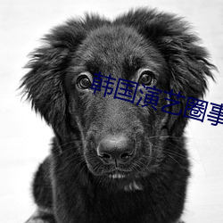 韩国演艺圈事件