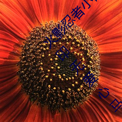 火影忍者小(xiǎo)南正能量(liàng)2000张动漫(màn)原图高清无水印无爱心马赛克