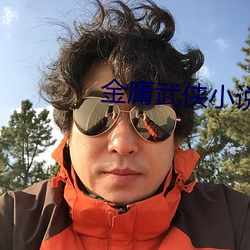 金庸武侠小说 （隔音）