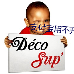 支付寶用不升級版本下載