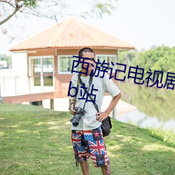 西游记电视剧全集在线观看完整版b站 （视下如伤）