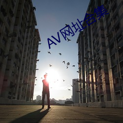 AV网(wǎng)址合集