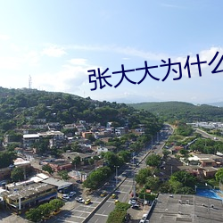 张大大为什么惹人厌
