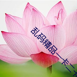 乱(luàn)码(mǎ)精品(pǐn)一卡(kǎ)二(èr)卡无卡(kǎ)
